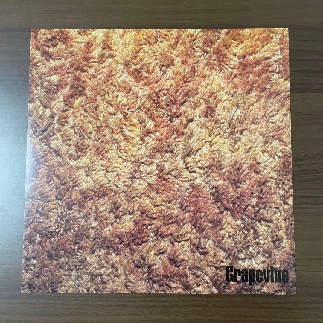 GRAPEVINE「Lifetime」