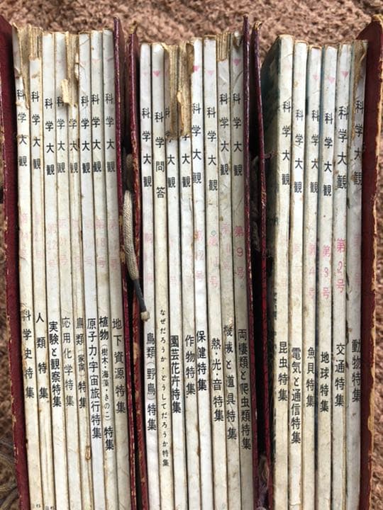 科学大観  世界文化社 第1号～24号（7号8号15号欠）科学大観別冊 科学問答
