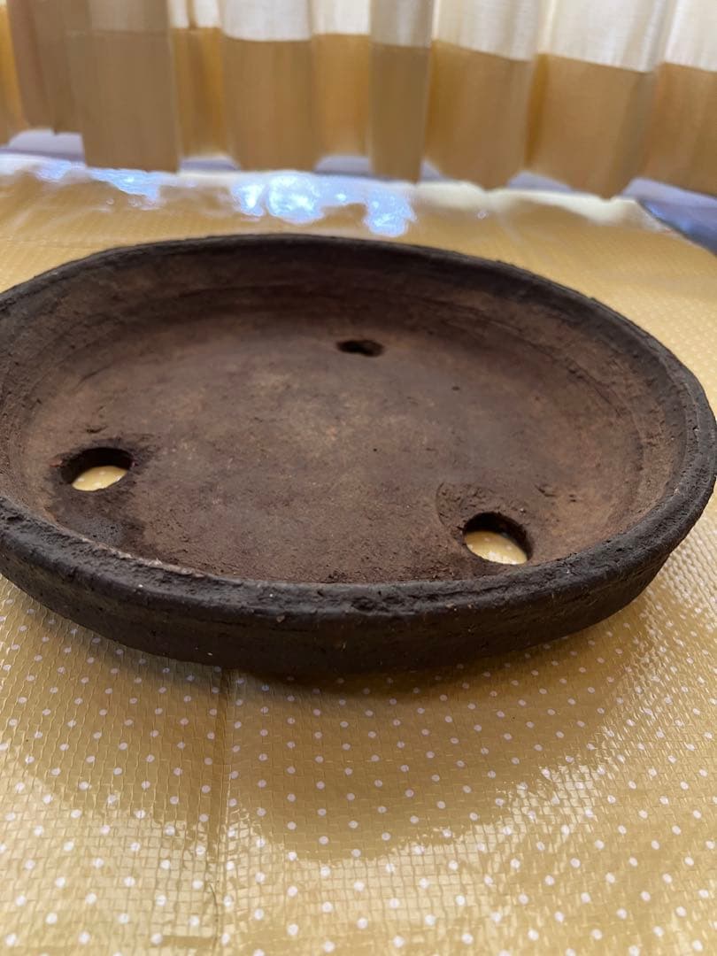 盆栽鉢 浅型　礼峰　落款あり