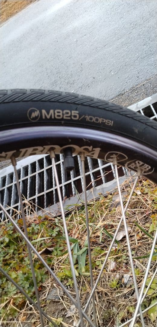 bmxerさん専用BMX マジックフルーツ