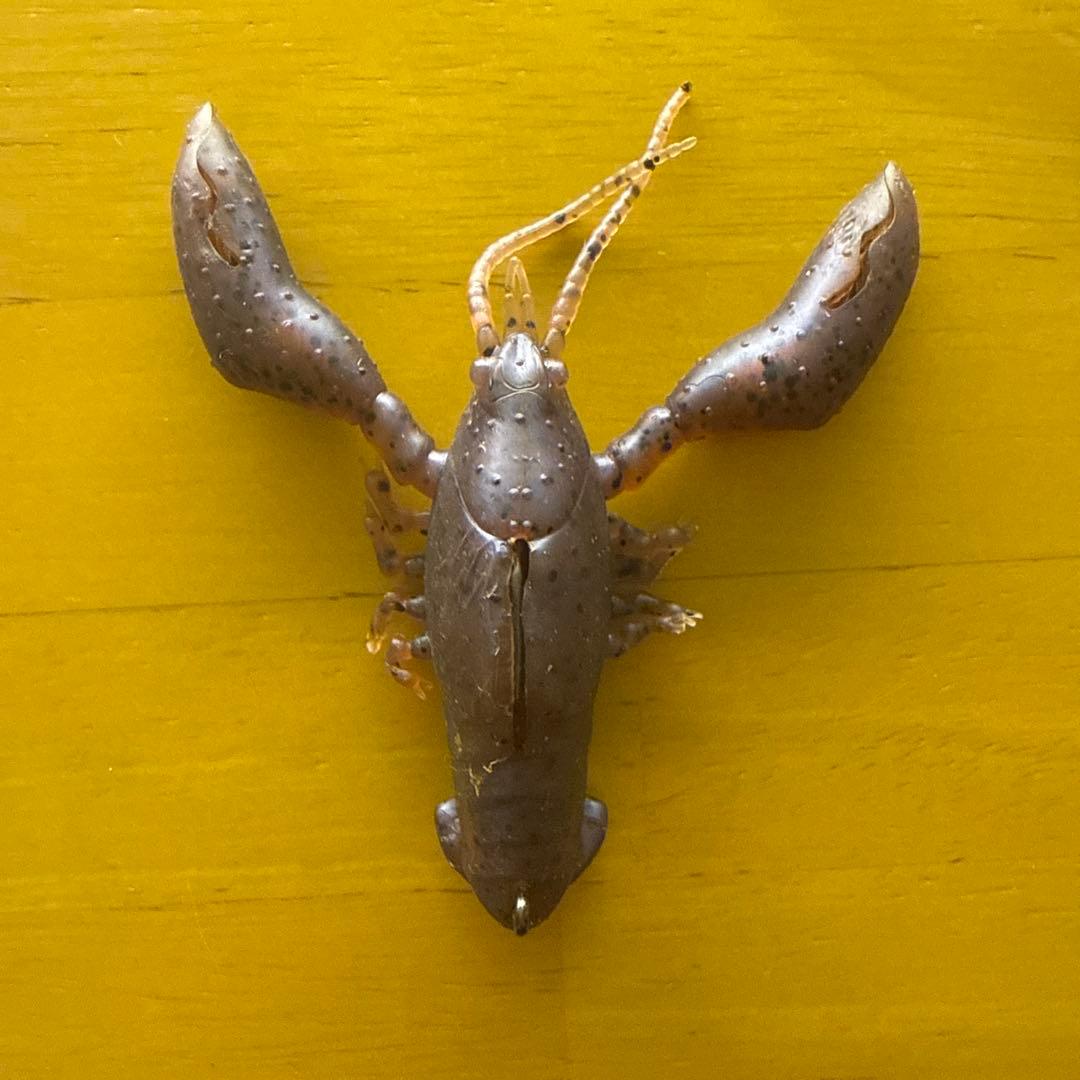 コイケフルキャス　コイケ17ミリ2つ　スクーパーフロッグメガ　エラストマーセット