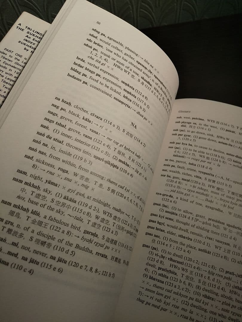 〈梵・蔵・漢〉 大無量寿経・阿弥陀経 比較語彙索引／稲垣久雄 ◎永田文昌堂