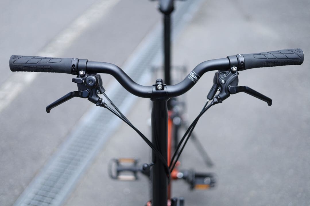 BROMPTON C LINE MID M6 フレイムラッカー カスタム