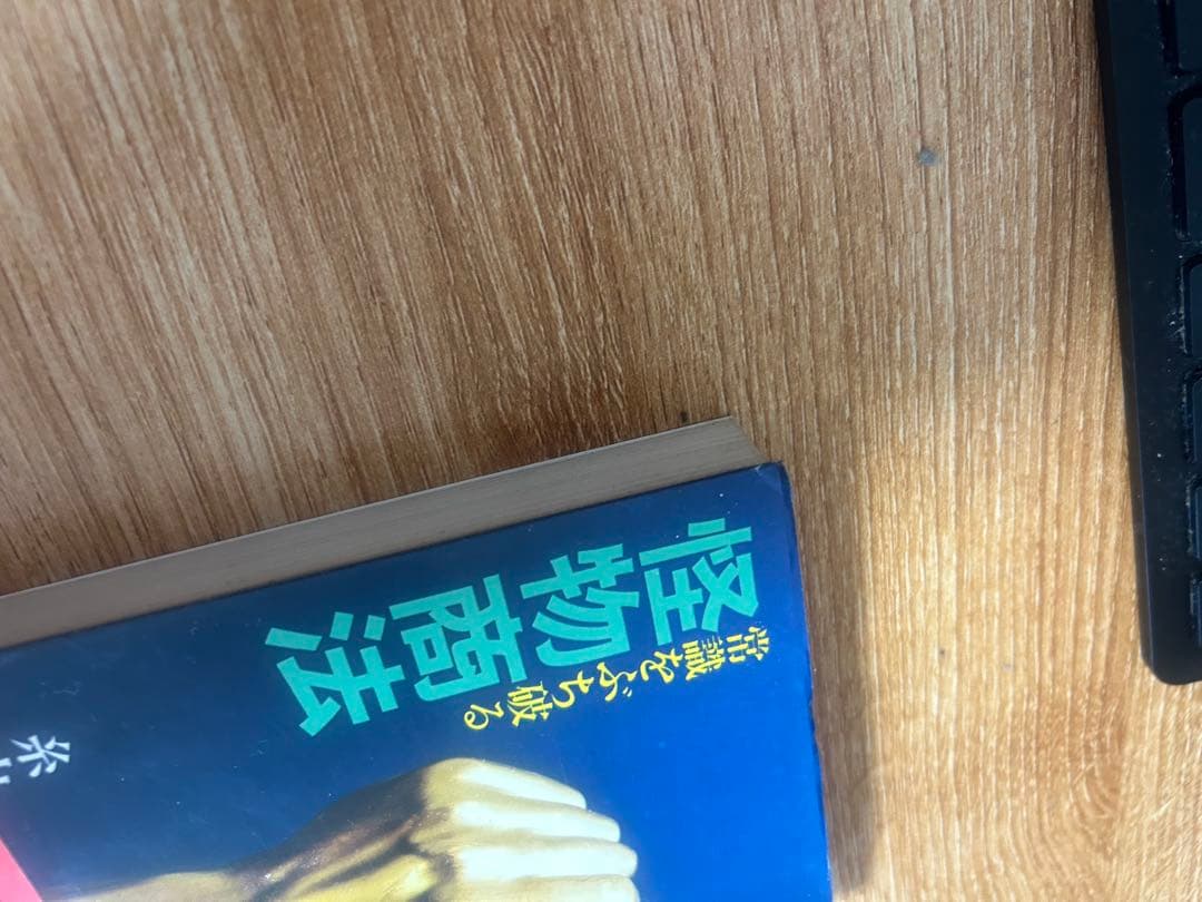 怪物商法 糸山著 石井出版