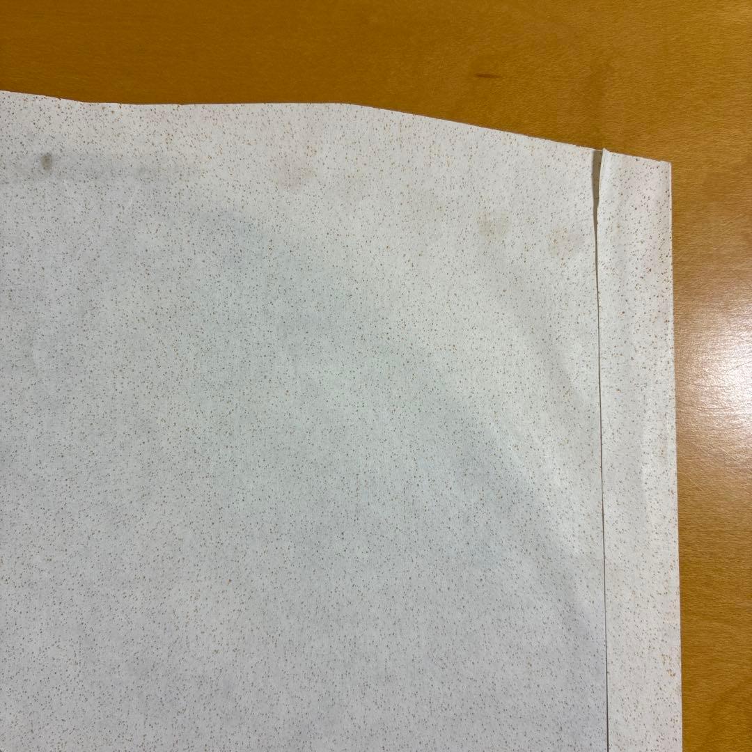 HOISTING THE BLACK FLAG 輸入12inchレコード