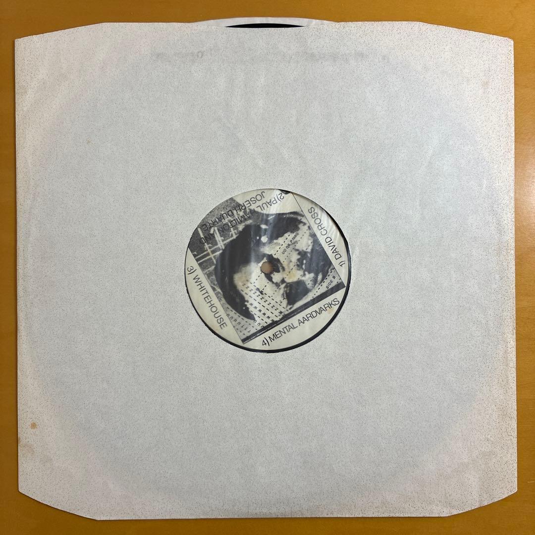 HOISTING THE BLACK FLAG 輸入12inchレコード