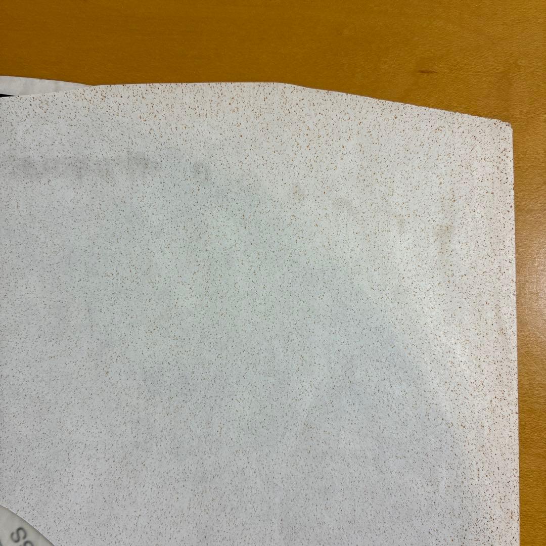 HOISTING THE BLACK FLAG 輸入12inchレコード