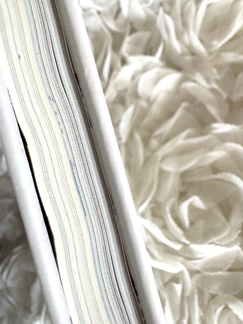 希少✨Karl's Secrets / Tiffany Cooper パリ購入品