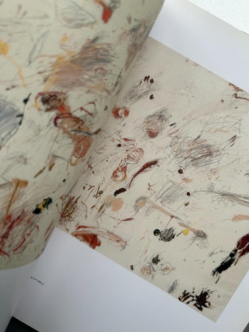 アート・デザイン・音楽 Cy Twombly : Cycles and Seasons