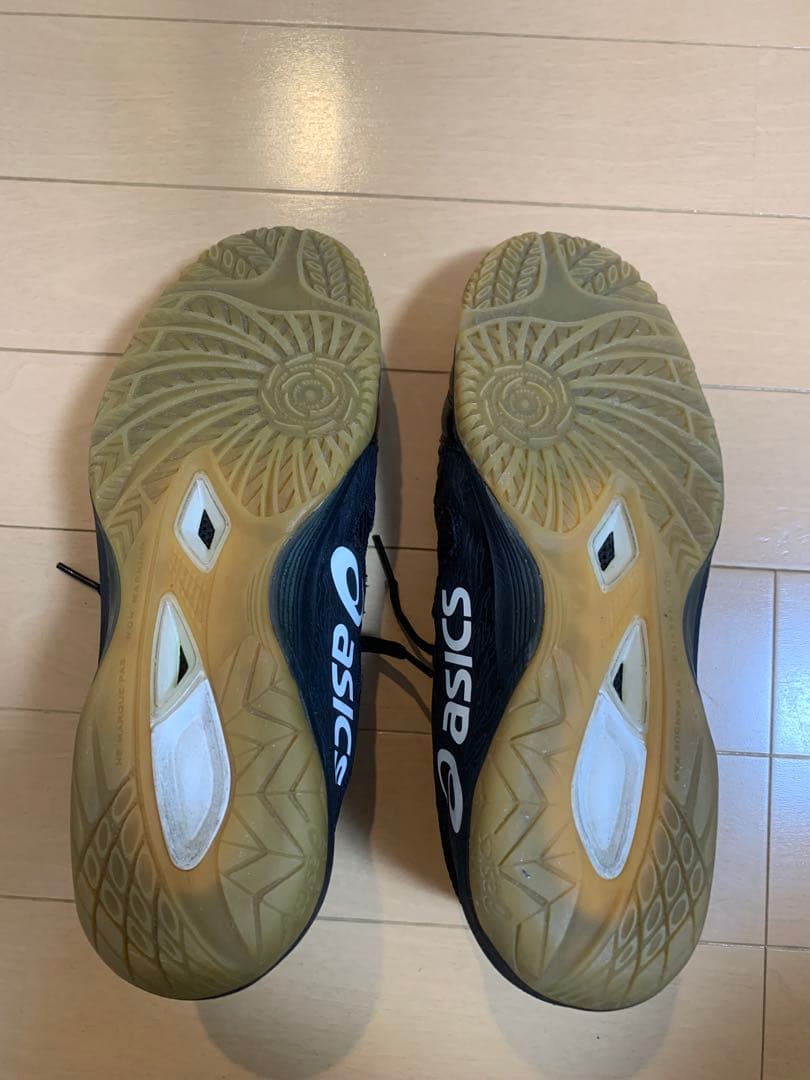 ASICS DESTAQUE 5K (希少カラー)