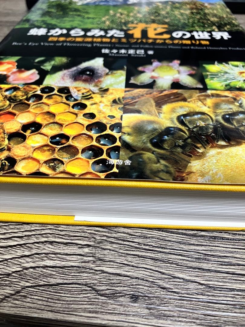 蜂からみた花の世界 佐々木正己　大型本