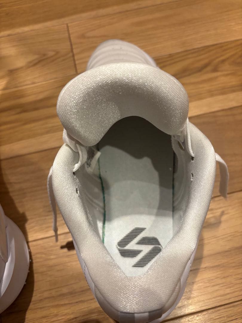 シューズ(男性用) NIKE JORDAN LUKA 3 TB PF