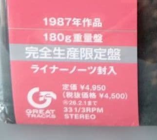 初回生産限定盤　FLYING BEAGLE 菊地ひみこ