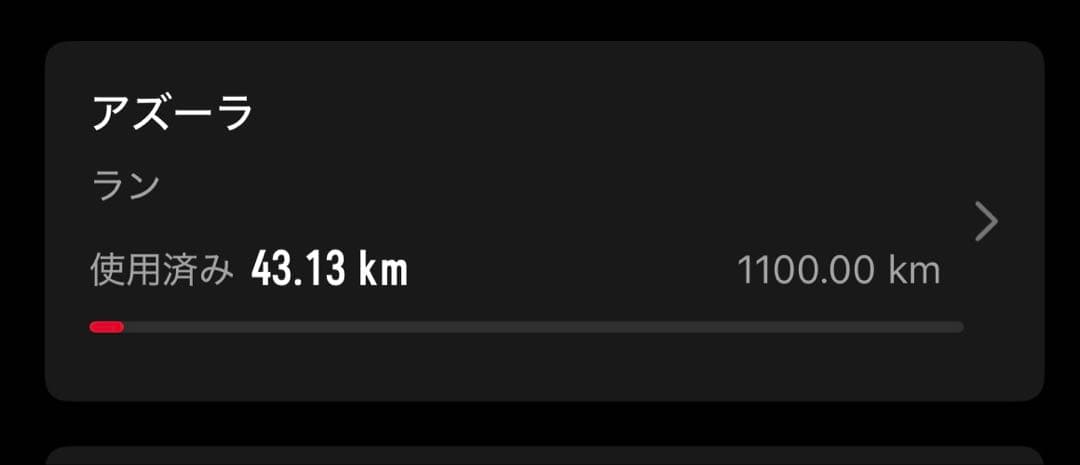 Endorphin Azura アズーラ 25.5cm