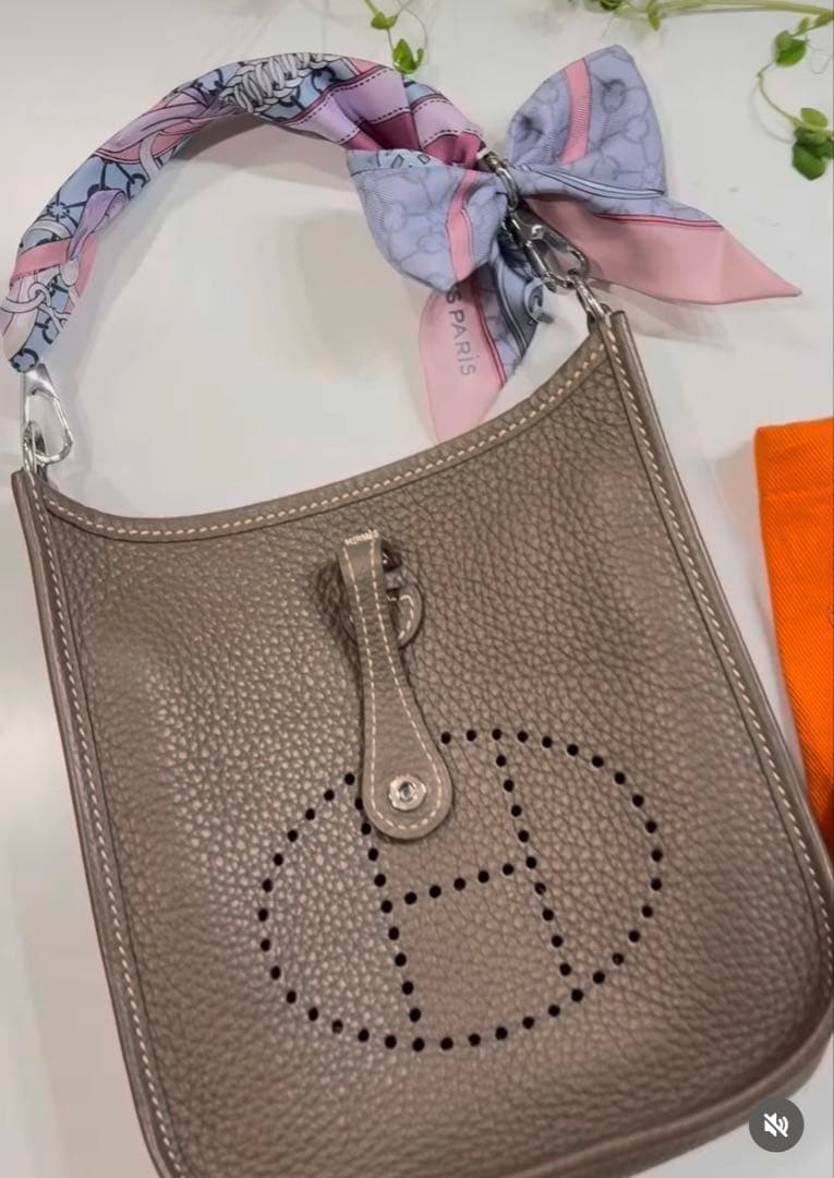 ☀️ ミニエヴリン エヴリンTPM 用 ストラップとバッグ