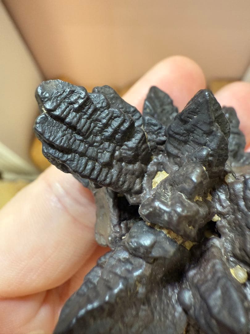 予言石 ゼットストーン エジプトの星　自然石　原石　鉱物標本⑤