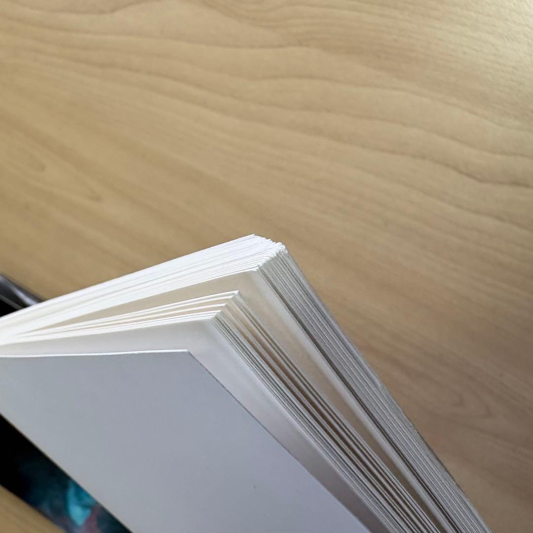 「カナリア門」 志賀理江子