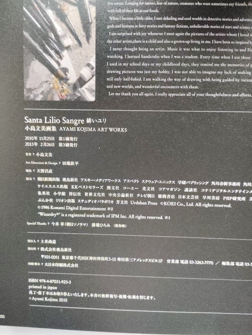 小島文美 画集 イラスト集 緋いユリ　Santa Lilio Sangre