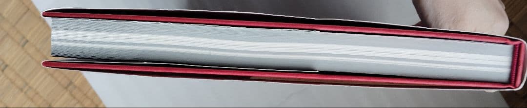 小島文美 画集 イラスト集 緋いユリ　Santa Lilio Sangre