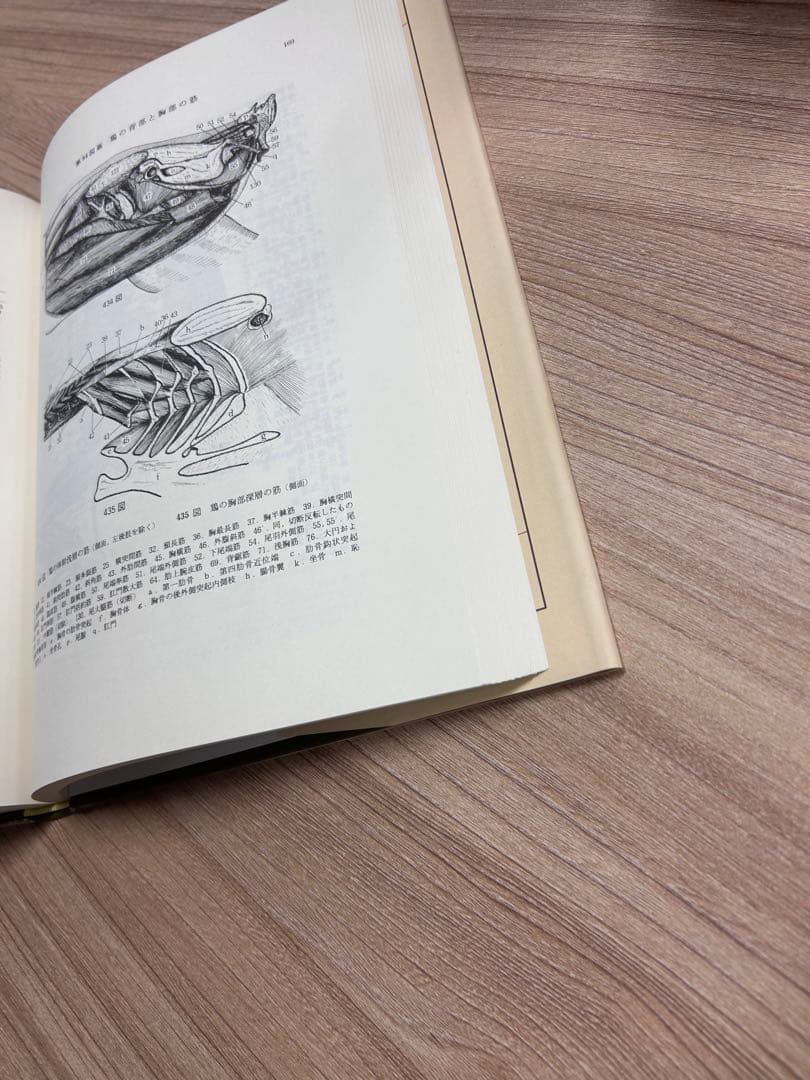 【新品未使用】 新編 家畜比較解剖図説 上下巻