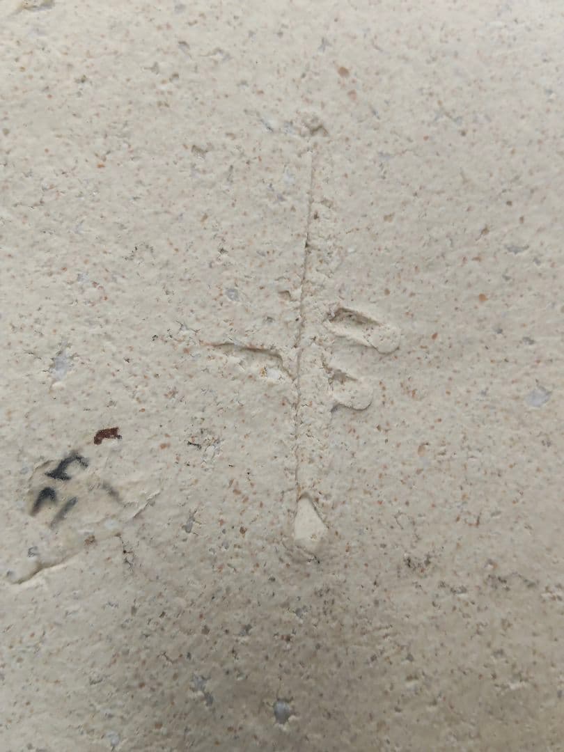 備前焼 変形大皿 大皿 作家 印