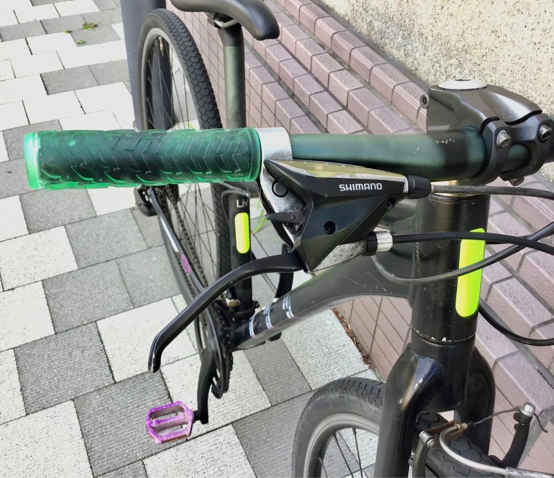 GIANT ジャイアント　LIV WANDER クロスバイク XS24段　東京