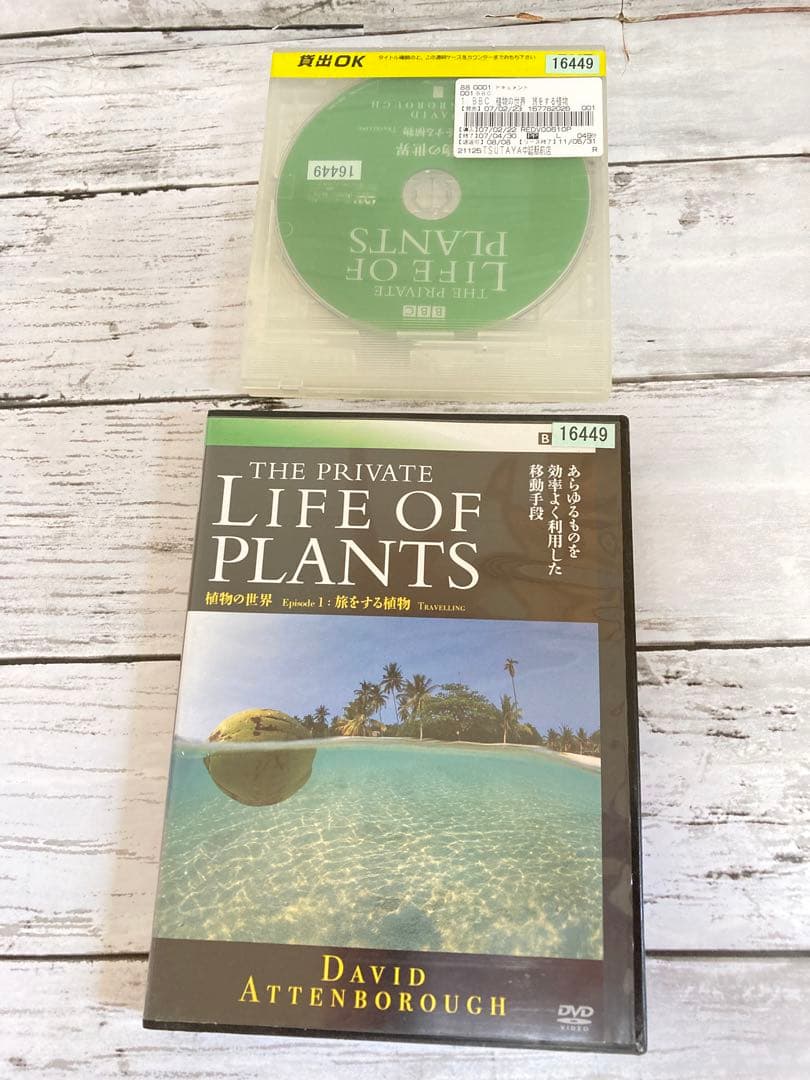 BBC 植物の世界 DVD 5枚セット　まとめ売り
