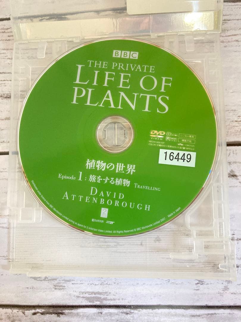BBC 植物の世界 DVD 5枚セット　まとめ売り