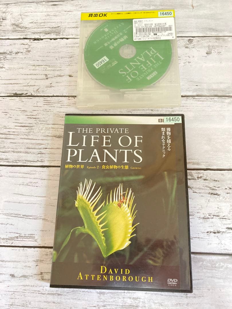 BBC 植物の世界 DVD 5枚セット　まとめ売り