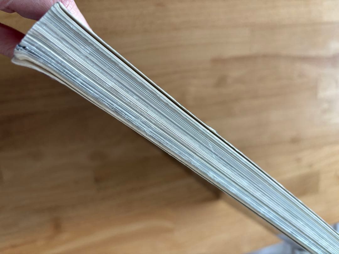 洋書　CeleBritation 大判写真集　RANKIN