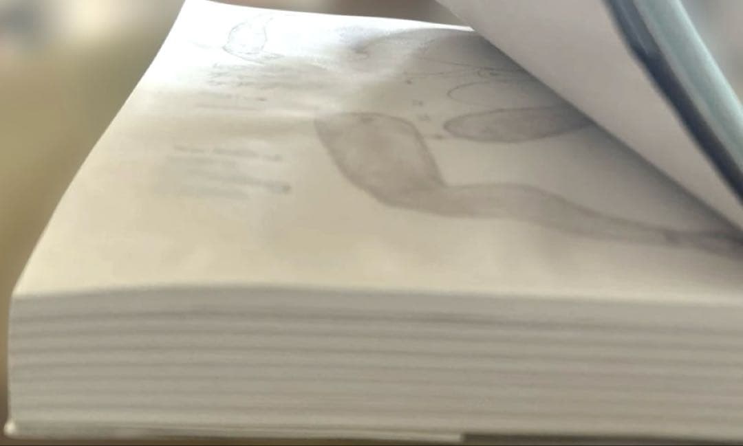 【初版】kaiのチャクラケアブック　初回限定特典ポスター&しおり付き