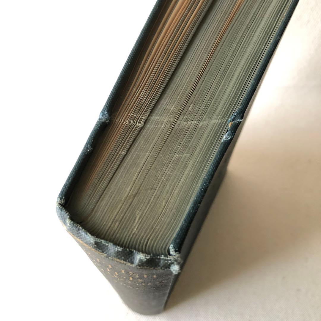 1867年！超希少　手彩色　英国ヴィクトリア時代のアンティーク植物図鑑