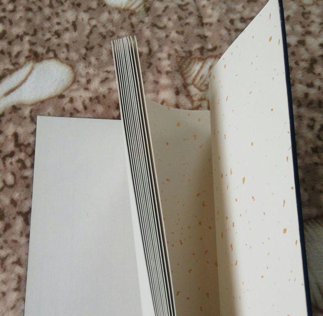 (大)旧蔵した書道、水墨画用1980年代栄宝斎販売した紅星画仙紙最高級折本集画帳