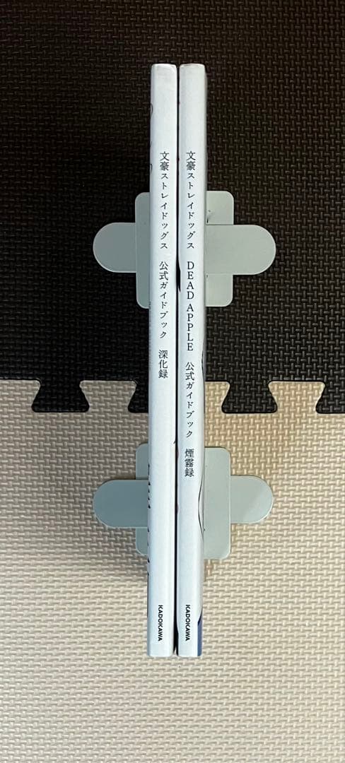 【公式ガイドブックあり】文豪ストレイドッグス 全巻+関連商品20冊セット