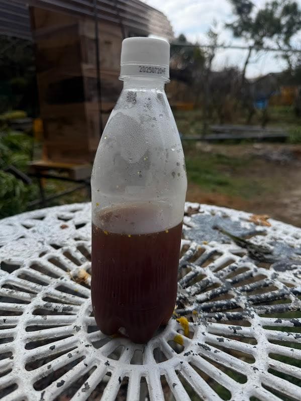 キンリョウヘン➕日本蜜蜂 重箱式巣箱4段➕スノコ➕誘引液