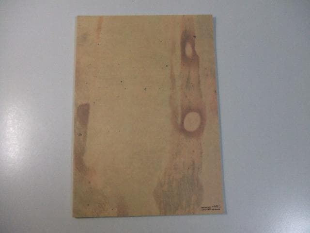 非売品 蟲師 第一話 緑の座 絵コンテ 漆原友紀 長濱博史 馬越嘉彦