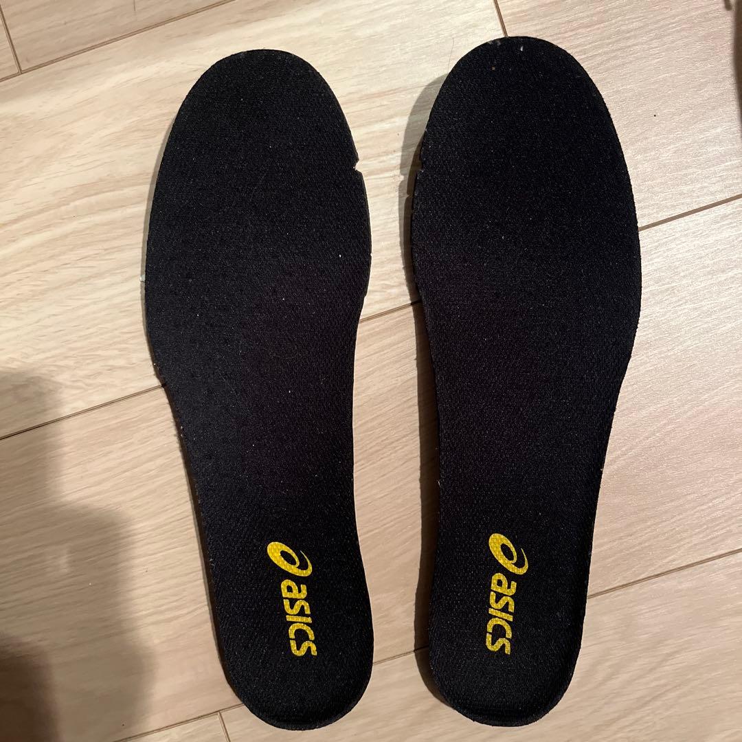 asics アシックス ターサージール6 28cm