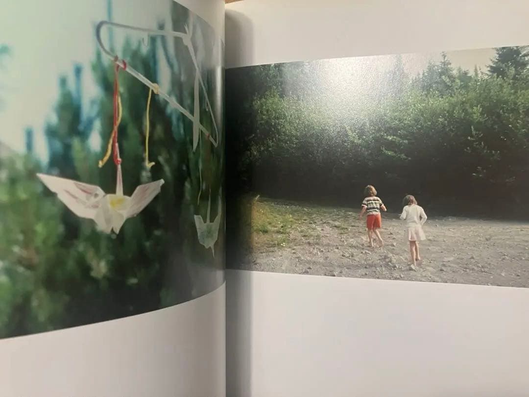 Thumbsucker サムサッカー写真集　ライアンマッギンリー　ホンマタカシ他