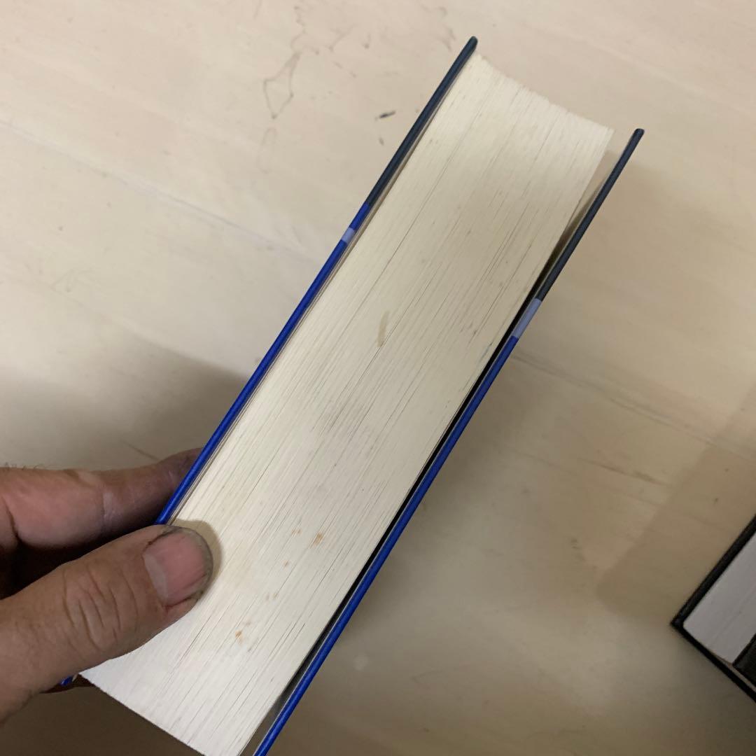 『Die Gotische Bibel (ゴート語聖書)』第1巻　洋書