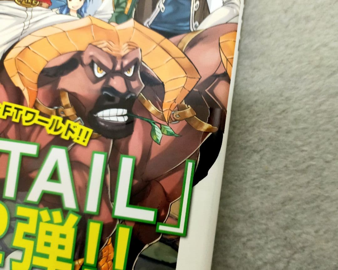 FAIRY TAIL　フェアリーテイル　イラスト集　パンフレット　真島ヒロ原画展