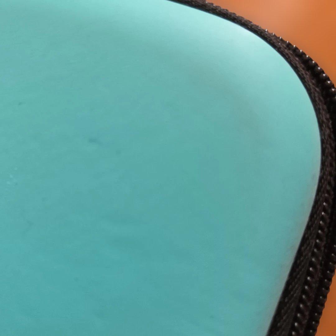 Nintendo Switch Lite本体　専用ケース付き