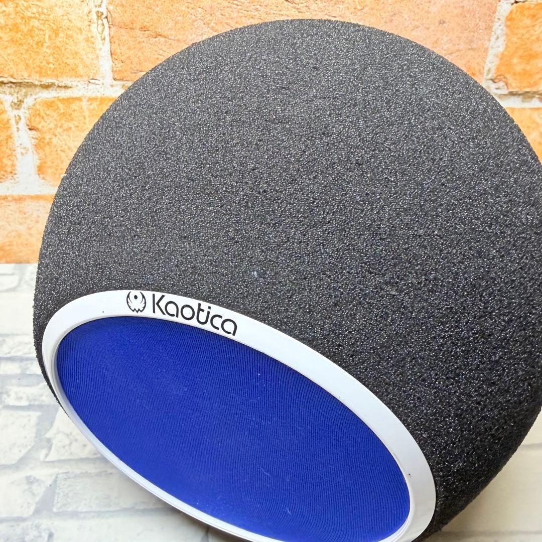 希少⭐︎Kaotica EYEBALL マイクフィルター ポップガード カオティカ