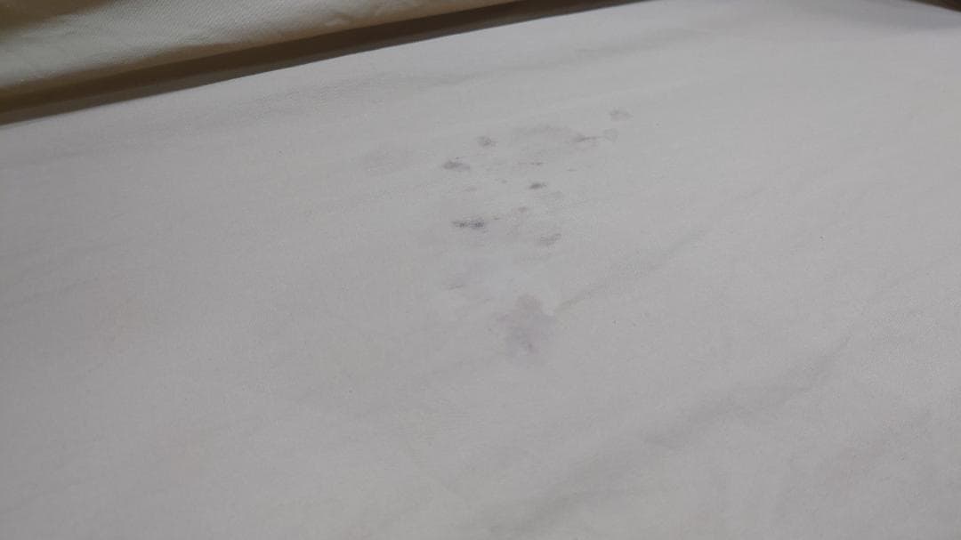 DOD わがやのテント（Lサイズ）