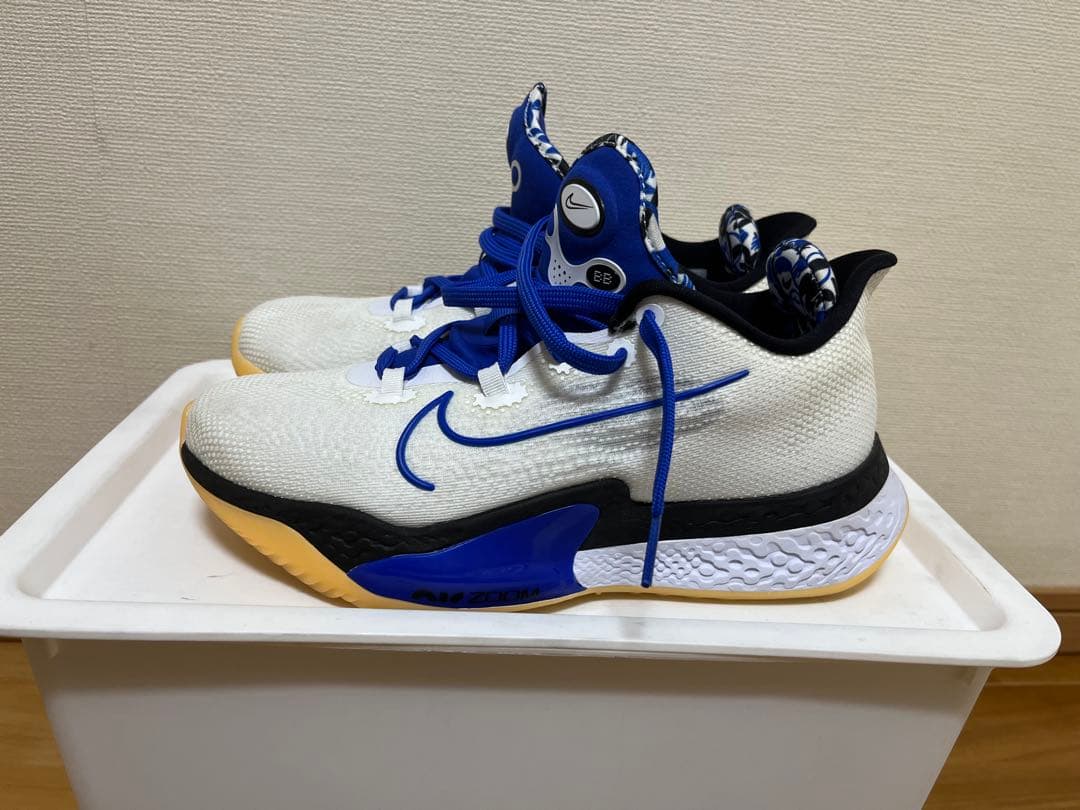 シューズ(男性用) NIKE AIR ZOOM BB NXT DB9990-100