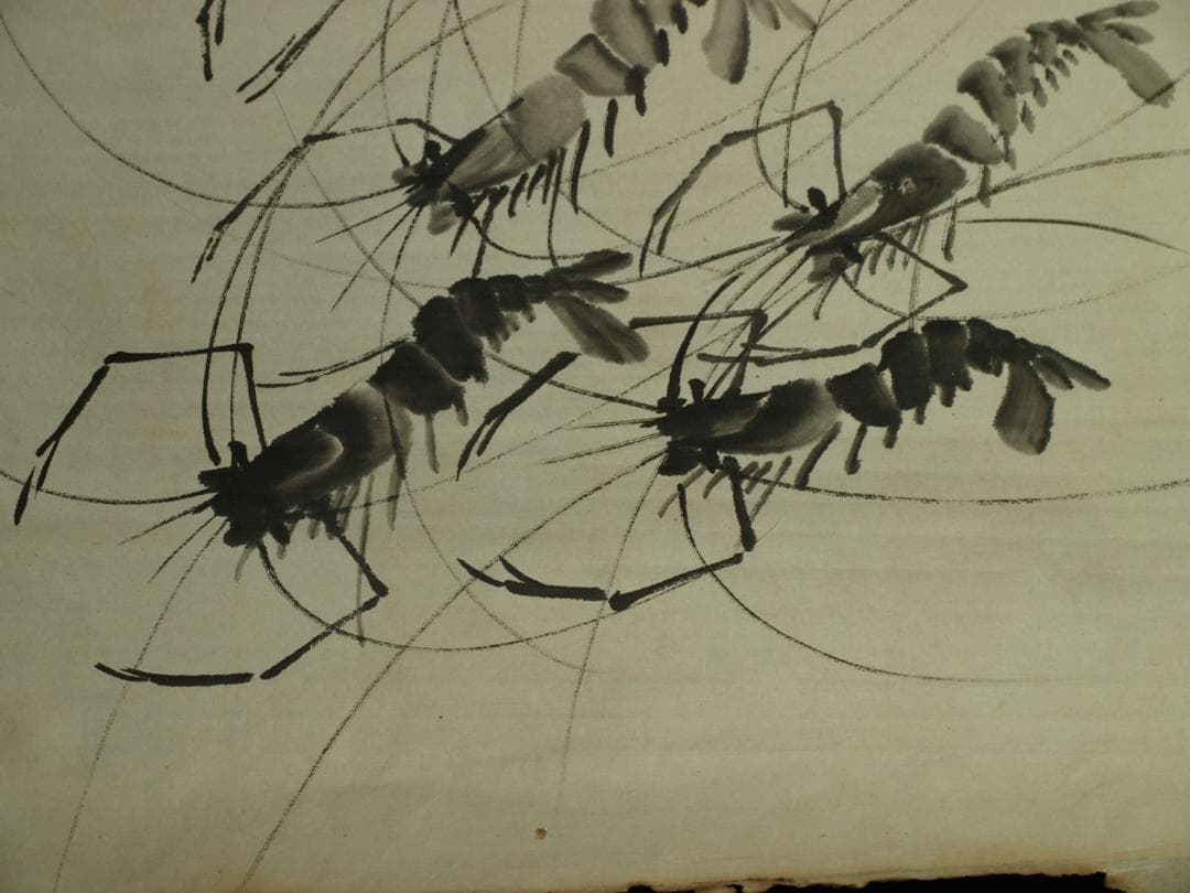 骨董市仕入れ品　中国近時代 白石作 虾図 掛軸　肉筆保証 BD620C11-4