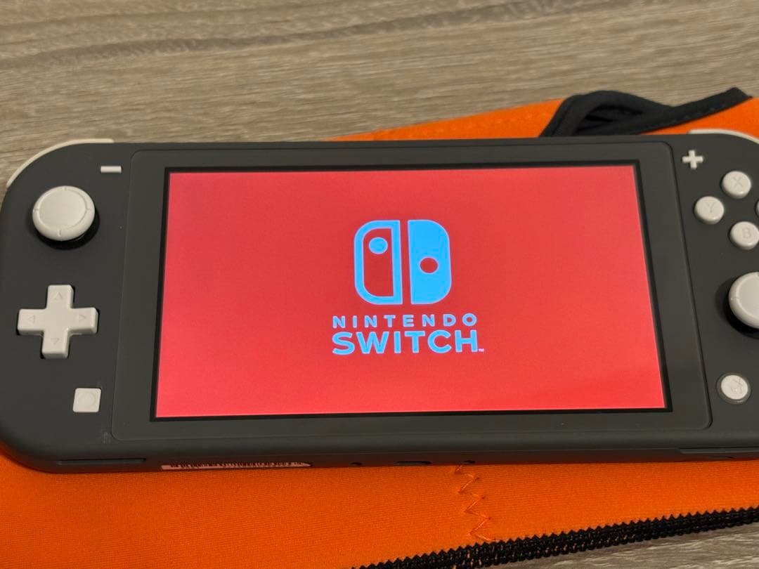Nintendo Switch Lite グレー ポーチ付き