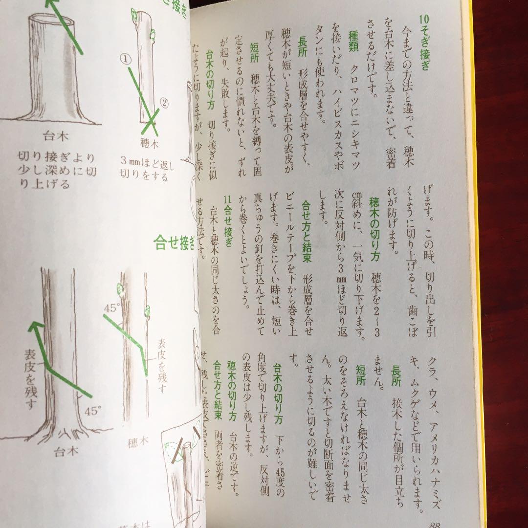 カラー版絵とき　さし木　つぎ木の楽しみ方　湯浅浩史　池田書店