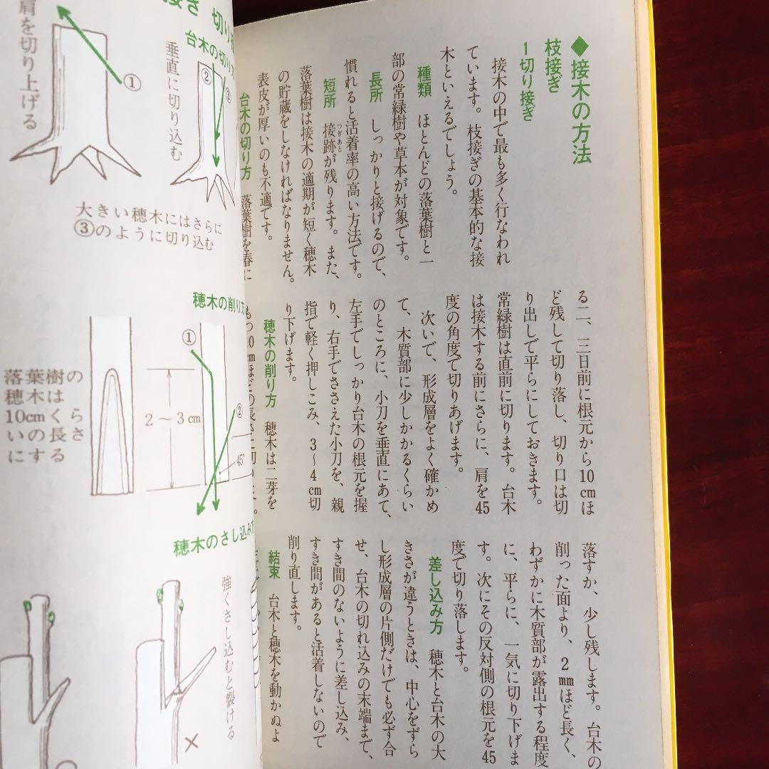 カラー版絵とき　さし木　つぎ木の楽しみ方　湯浅浩史　池田書店