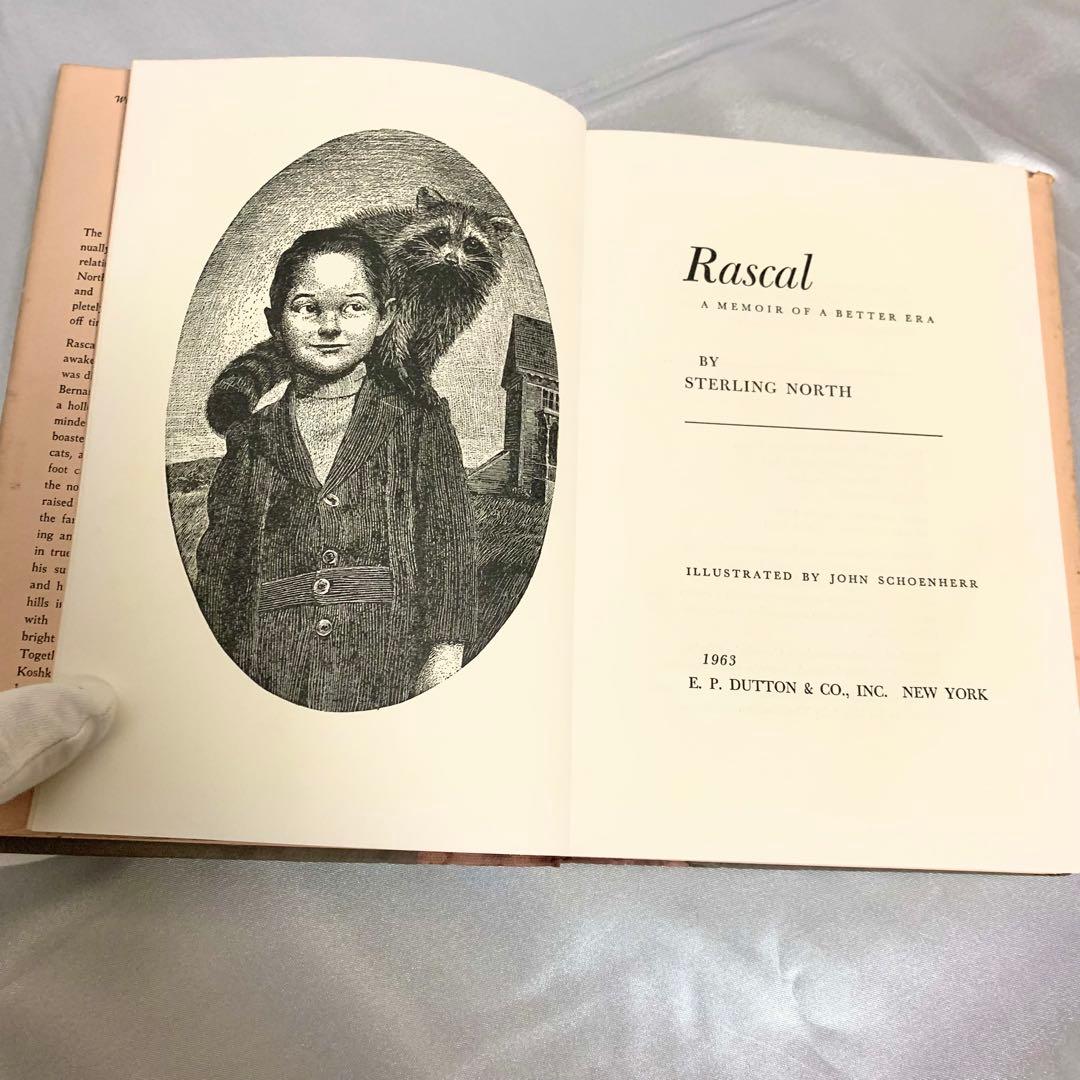 はるかなるわがラスカル 原書 RASCAL 1963年 英語版 初期刷 洋書