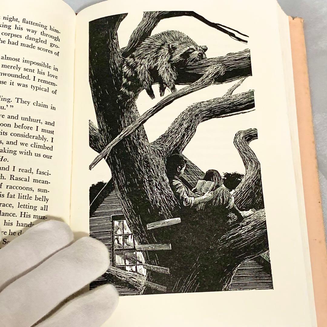 はるかなるわがラスカル 原書 RASCAL 1963年 英語版 初期刷 洋書